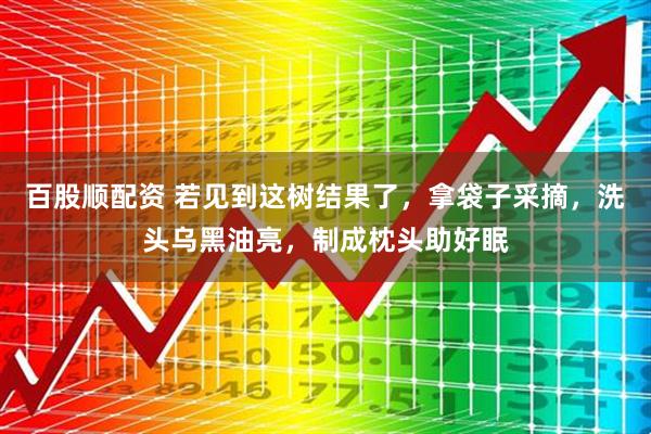 百股顺配资 若见到这树结果了，拿袋子采摘，洗头乌黑油亮，制成枕头助好眠