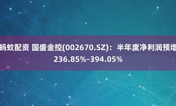 蚂蚊配资 国盛金控(002670.SZ)：半年度净利润预增236.85%–394.05%